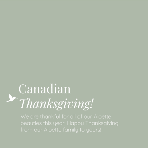 Canadian Thanksgiving.png